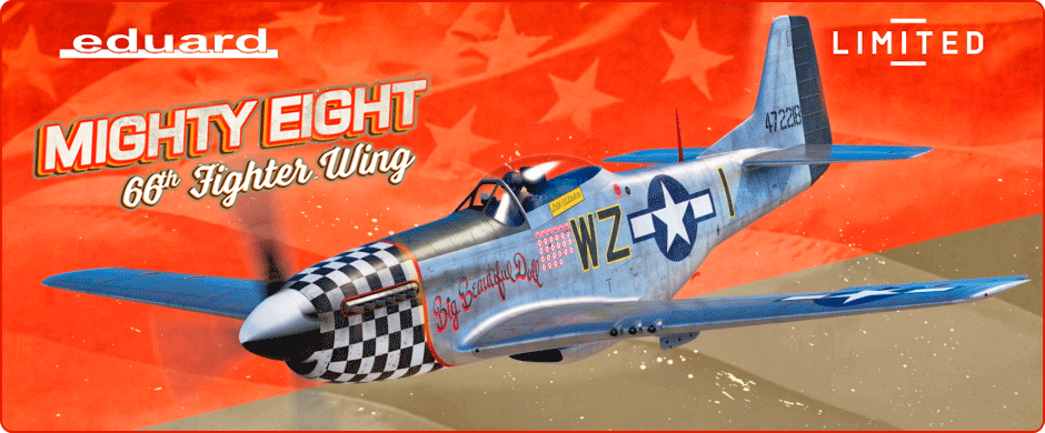 1/48 Mighty Eight: US P-51D Mustang '66th Fighter Wing'